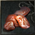 Hypolynx Senior Meat