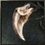 Kravas's Tooth