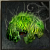 Old Moss