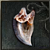 Ignatus's Tooth