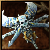 Eternal Flight Kataria