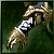 Guard Gauntlets