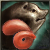 Pig's Tail