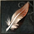 Lin's feather