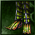 Ilios Boots